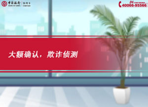 [FLASH短片播放]大額確認，欺詐偵測